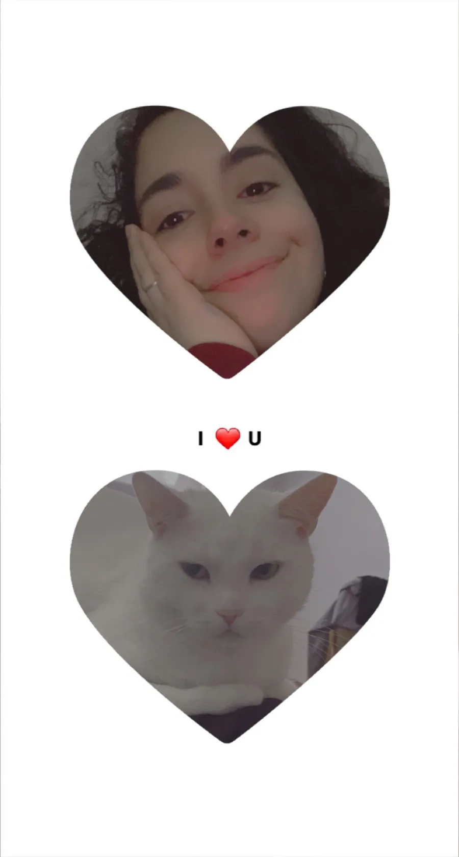 Two heart-cut portraits, my and the white cat, 'I love U'