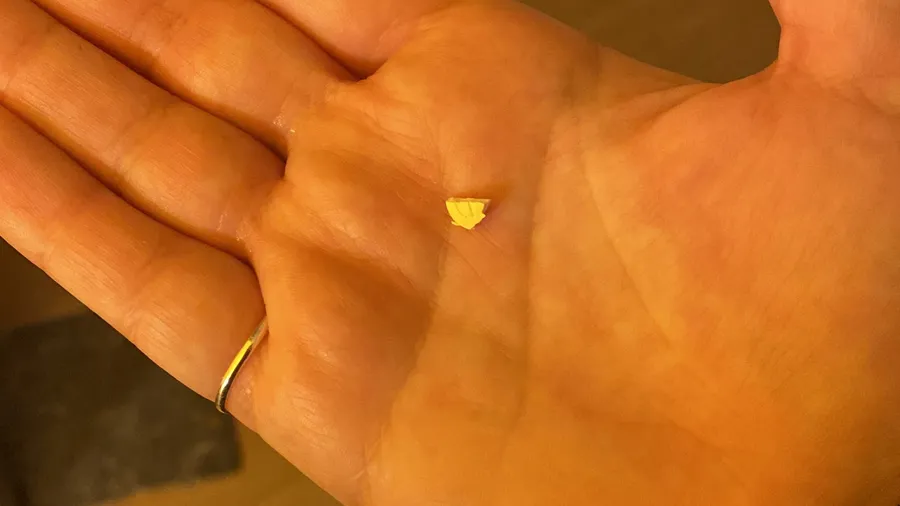 A tiny yellow crumb in an open palm, warm light