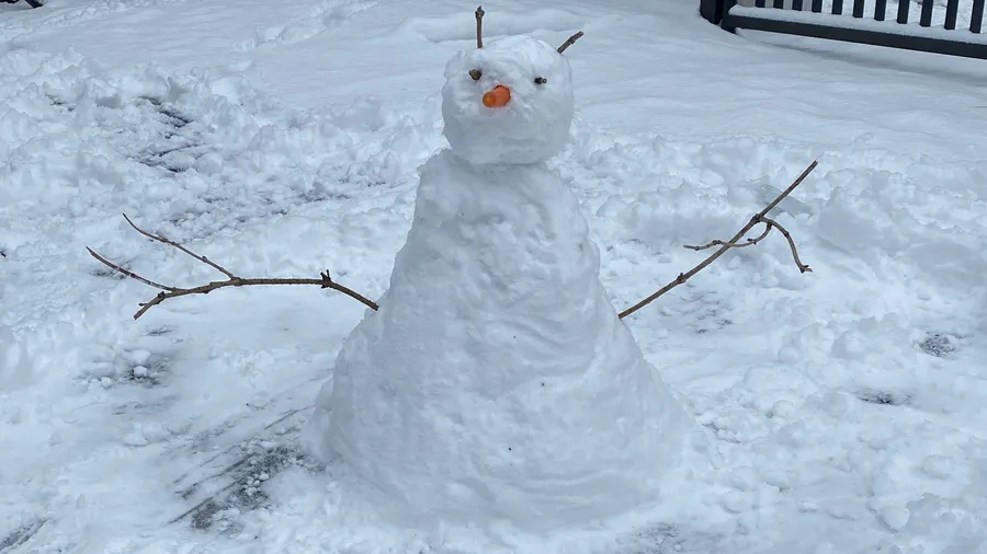 Snowman with twig arms and carrot nose, grinning
