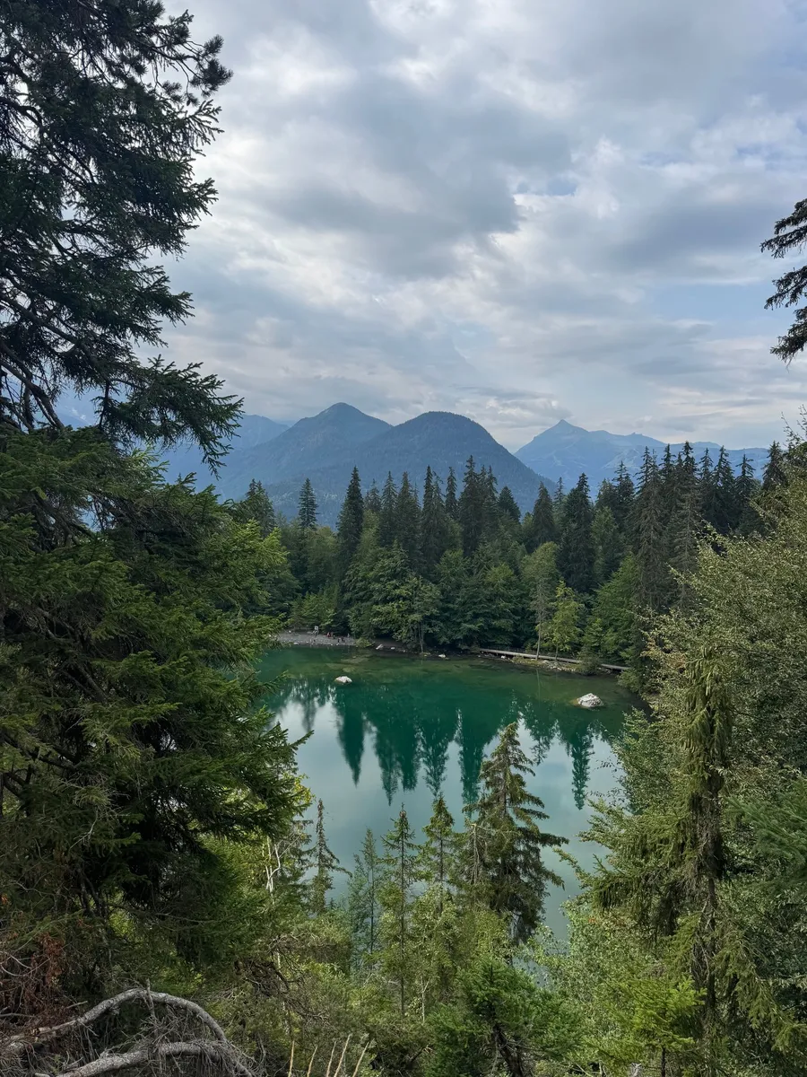 Emerald mountain lake mirroring the firs