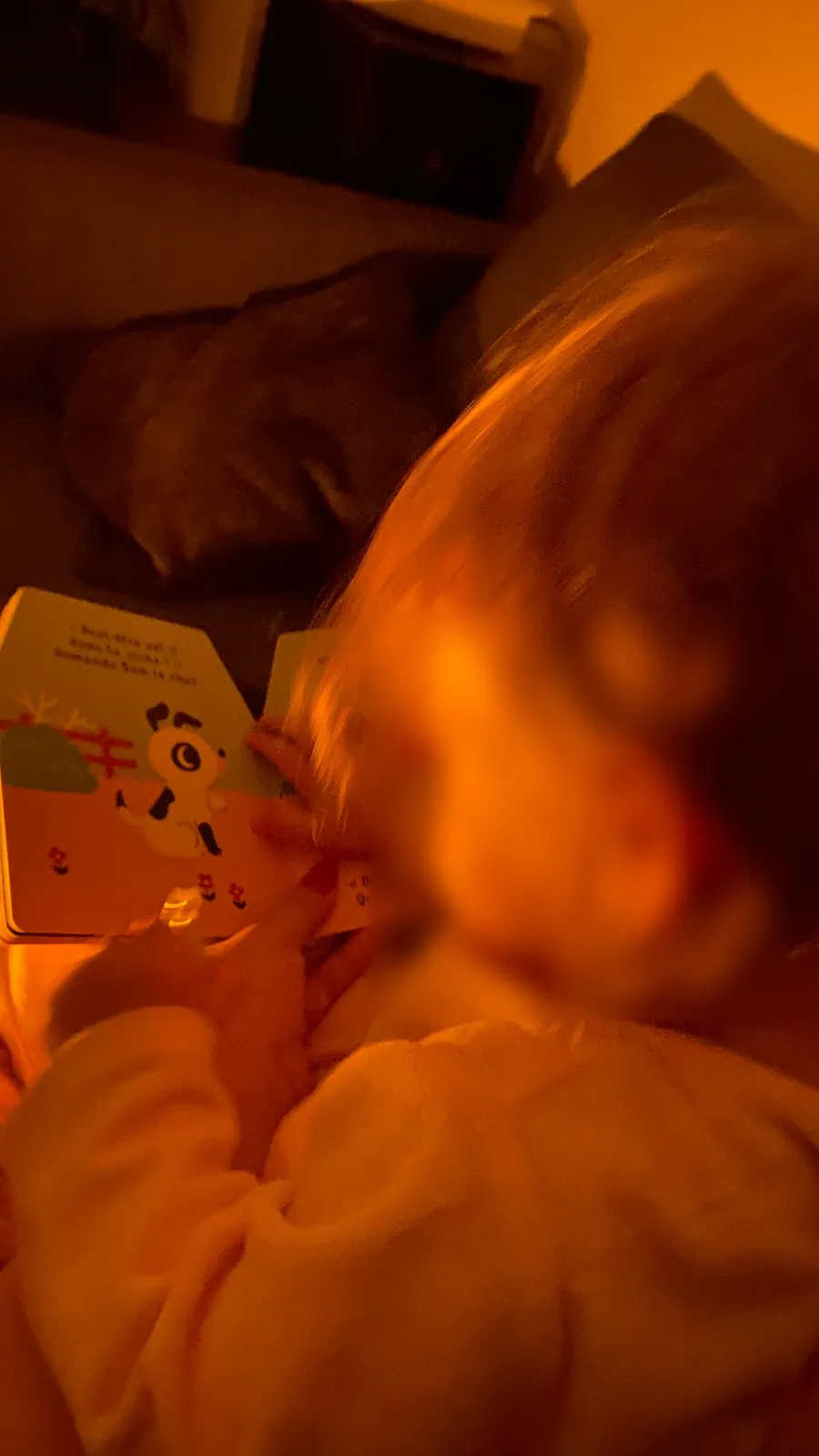 Child reading in bed, bathed in deep orange lamp light