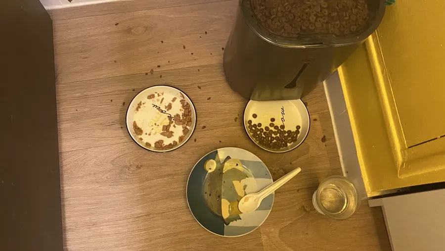 Cat bowls on the floor at 1am, kibble scattered