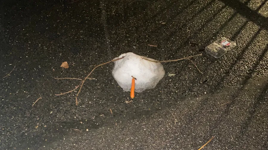 Last snowball with carrot nose on wet asphalt, twigs nearby