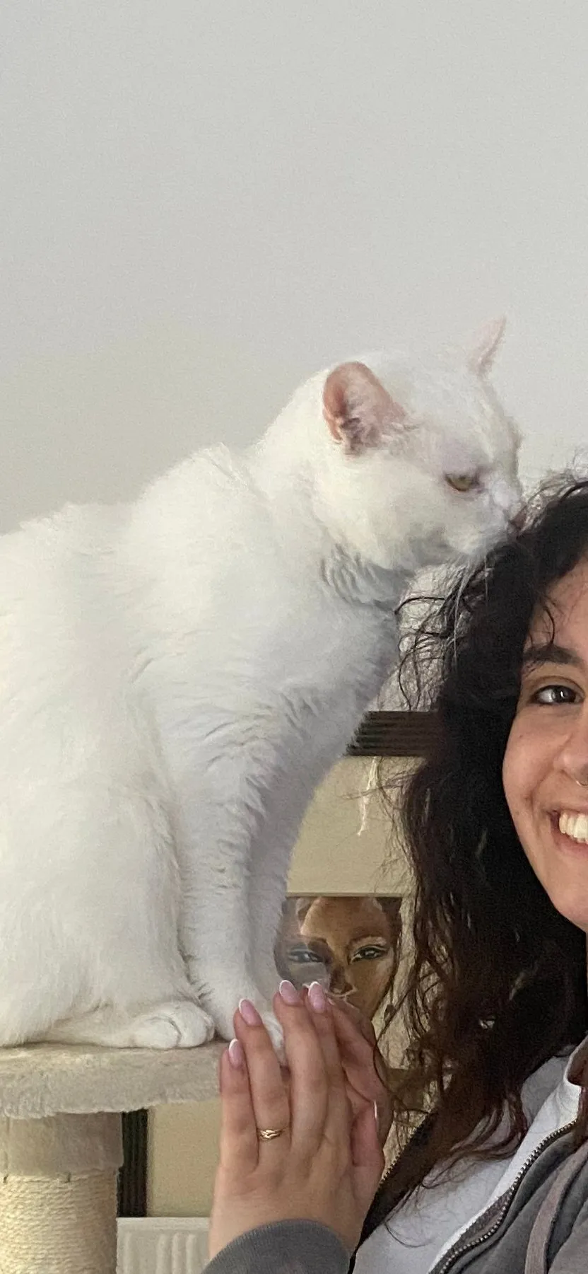 White cat nuzzling my head, eyes closed