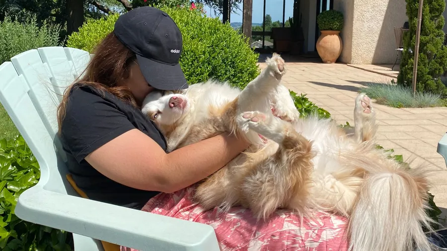 Face buried in a fluffy dog belly-up on my lap