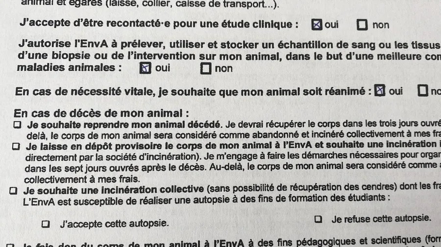 Vet consent form: what happens to the animal if it dies