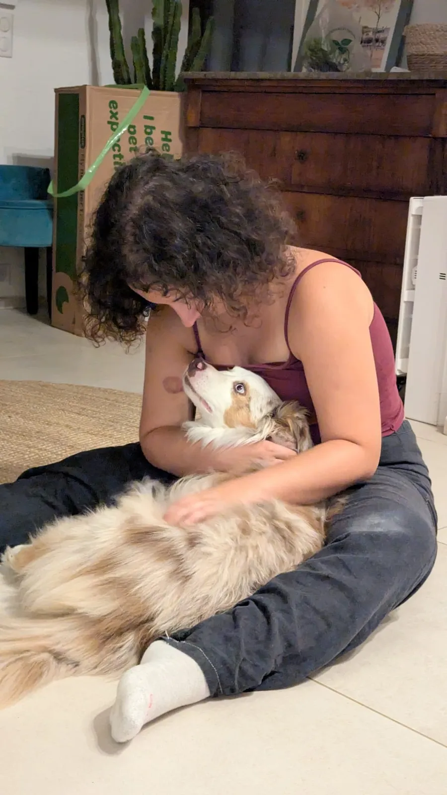 Curly-haired woman hugging the shepherd dog on the floor, face hidden