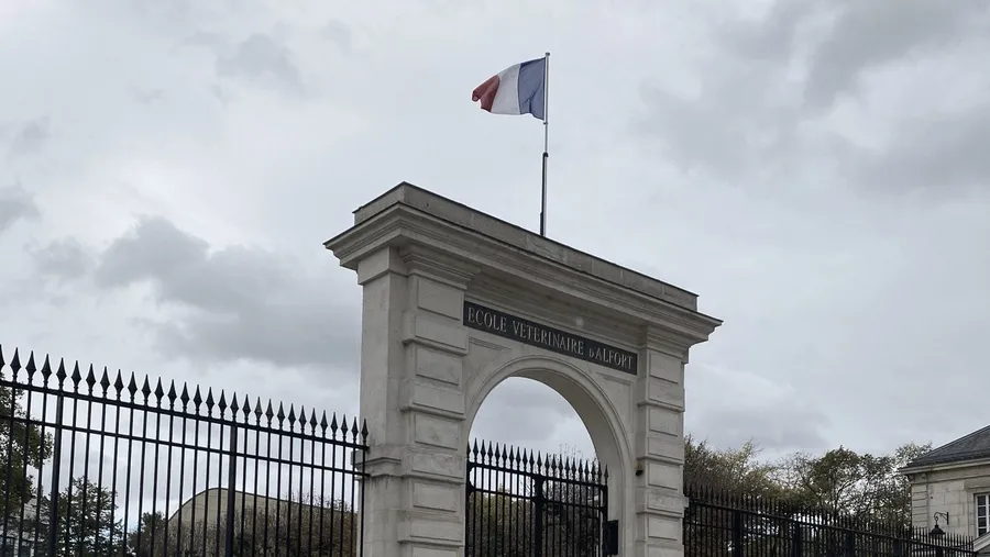 Vet school gate under French flag and grey sky