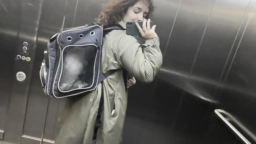 Lift selfie with the cat in a bubble backpack