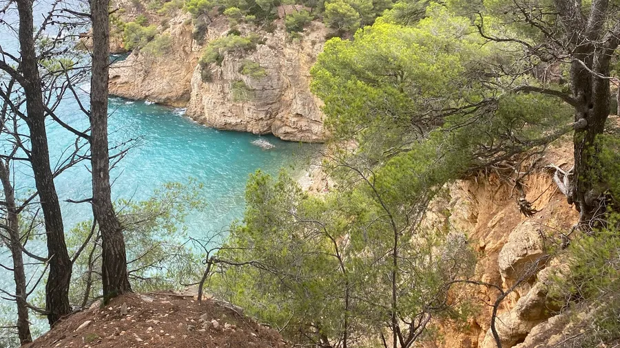 Turquoise cove glimpsed through pines from the cliff path