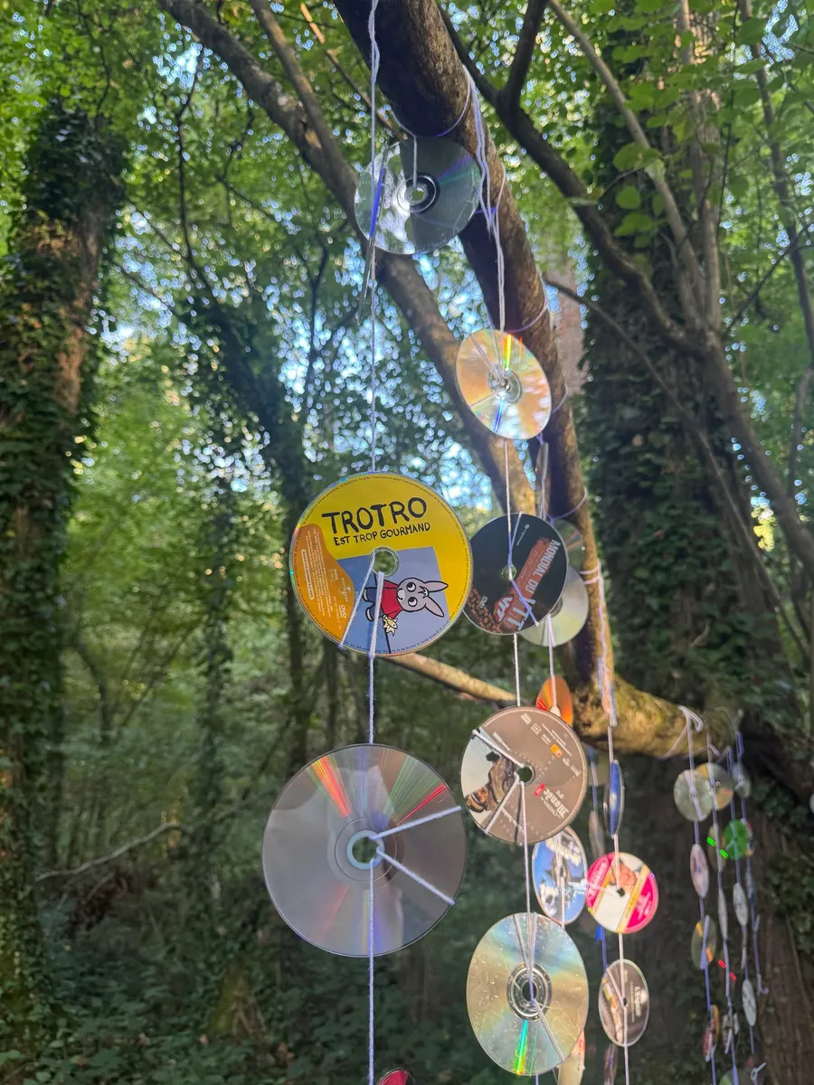 Old CDs hung in a tree as a mobile, rainbow glints in the forest