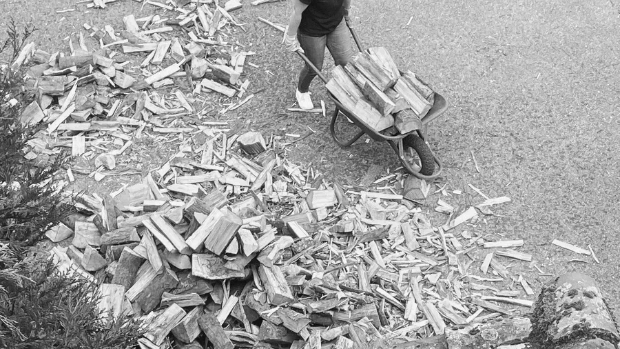 Heap of split firewood, someone wheeling a barrow away