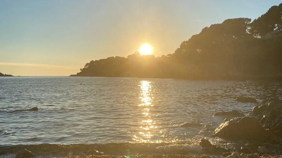 Sun sinking behind a pine headland, gold path on the sea
