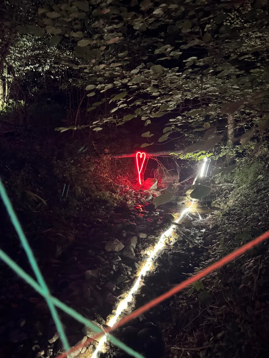 Neon heart and light string glowing in dark undergrowth