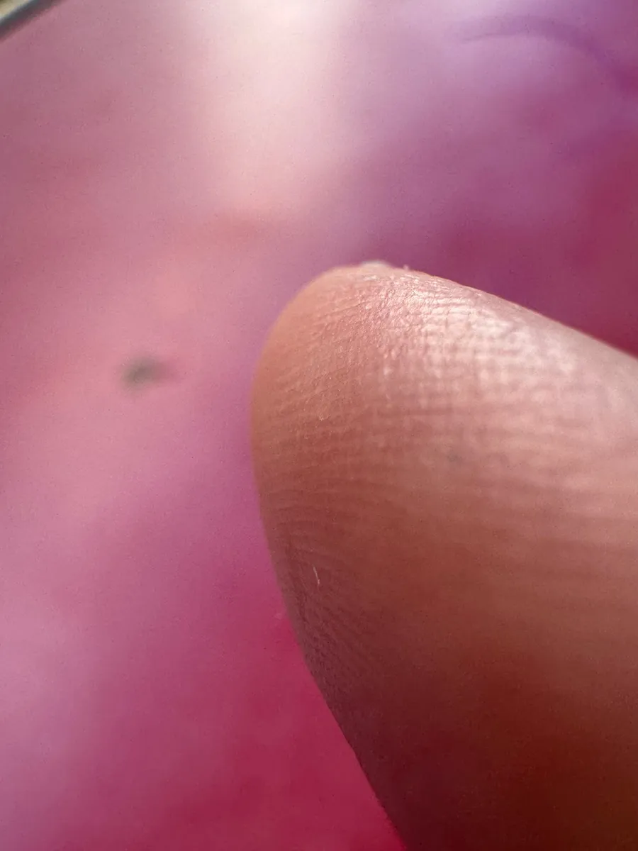 Fingertip over the lens, pink glow, fingerprint ridges visible